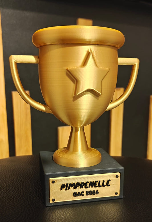 Trophée personnalisé 14 cm noir & or – Récompense sport / école / associations